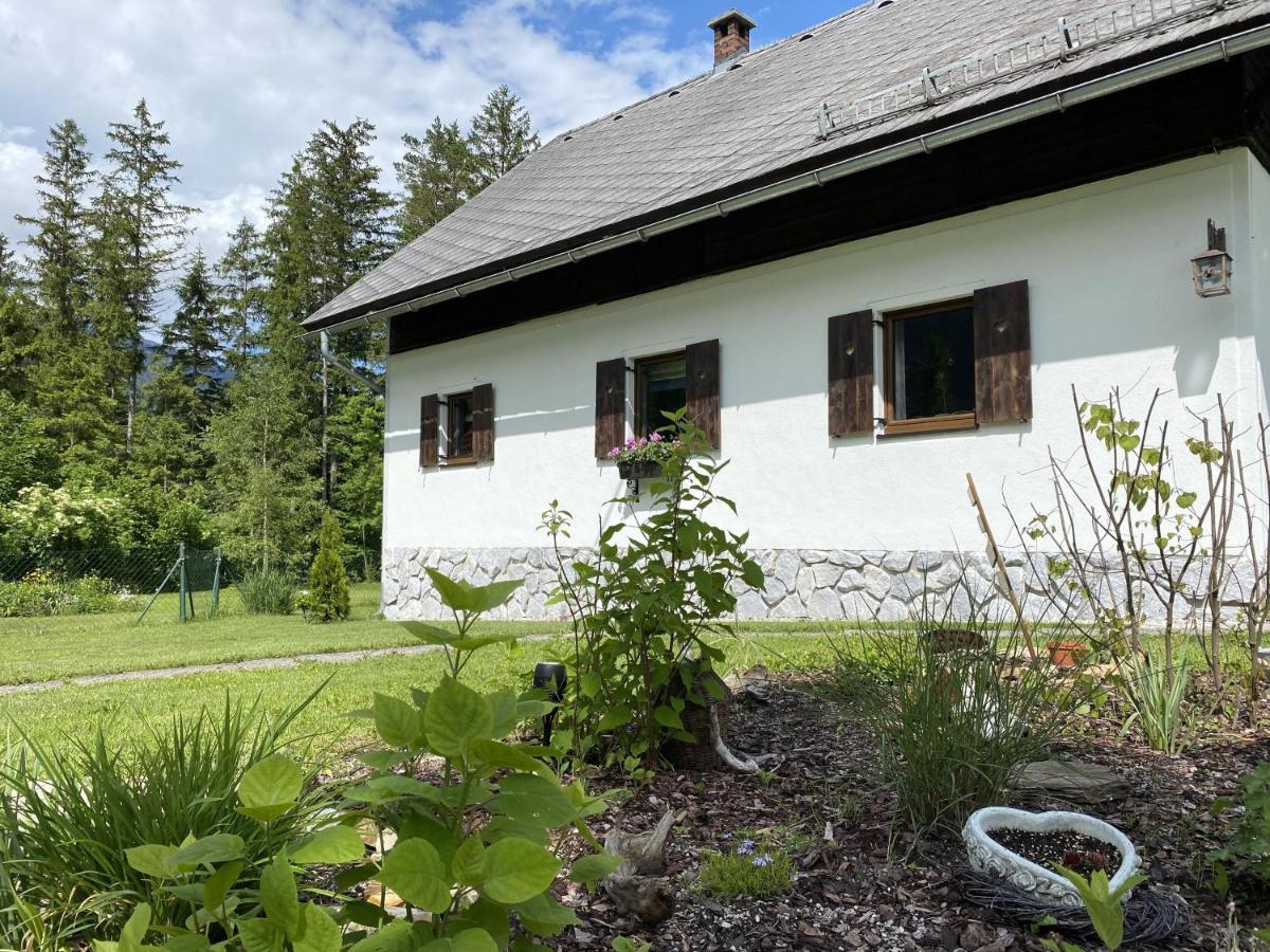 Chalet Am Weissenbach Hinterstoder Exteriér fotografie