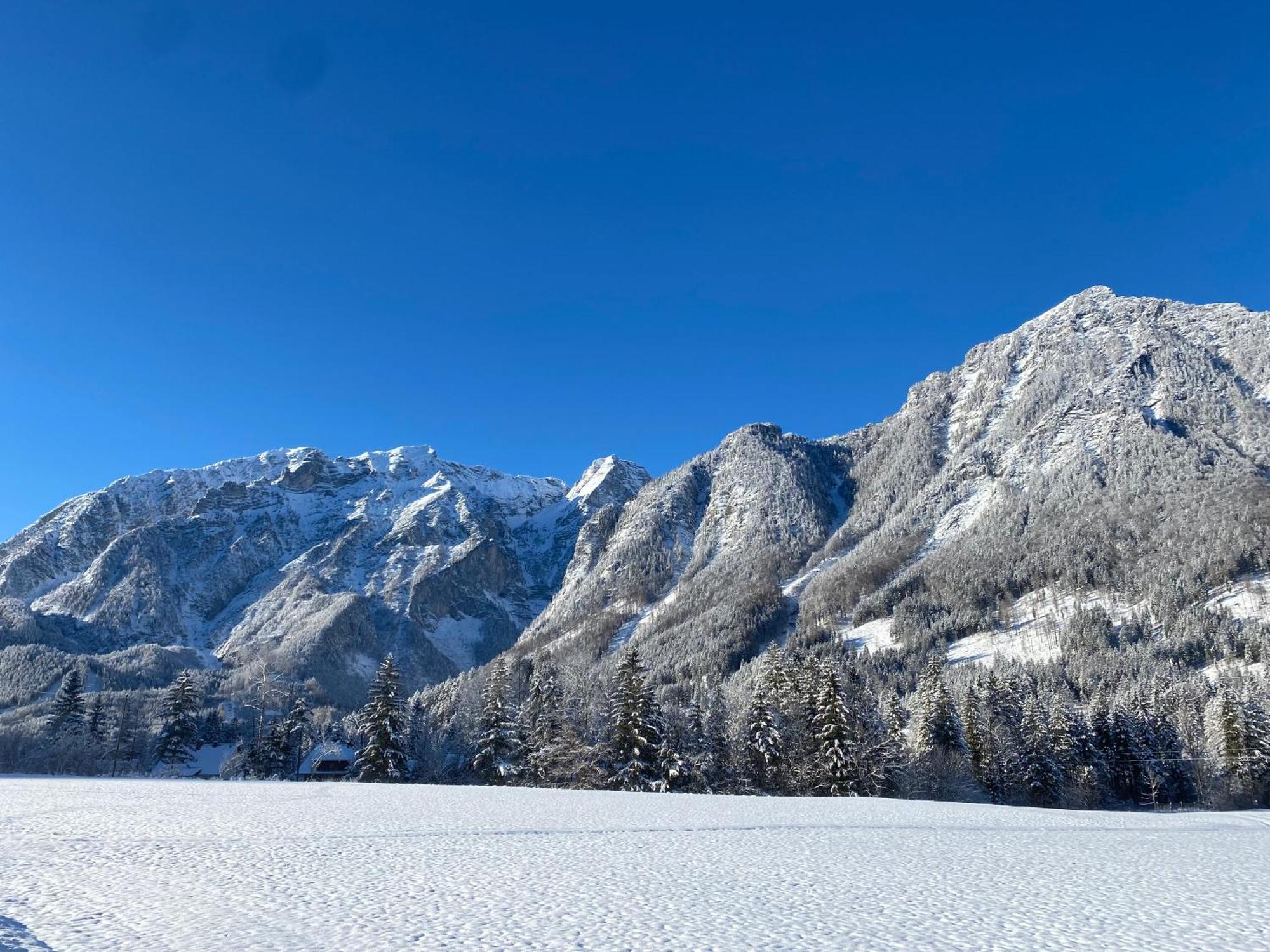 Chalet Am Weissenbach Hinterstoder Exteriér fotografie